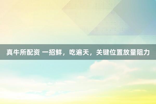 真牛所配资 一招鲜，吃遍天，关键位置放量阻力