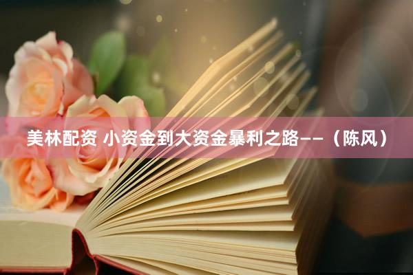 美林配资 小资金到大资金暴利之路——（陈风）