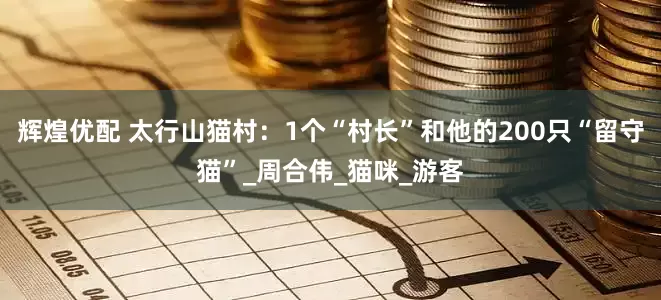 辉煌优配 太行山猫村：1个“村长”和他的200只“留守猫”_周合伟_猫咪_游客