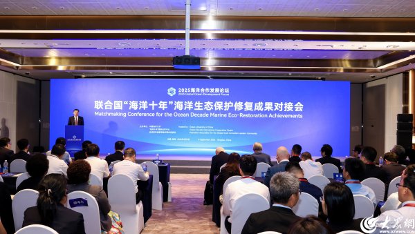 点点盈 联合国“海洋十年”海洋生态保护修复成果对接会在青岛西海岸新区举行