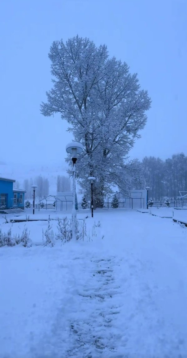 跟投之家 新疆多地遭遇下半年最强降雪，赛里木湖变身“冰雪王国”